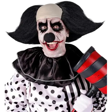 Peruca clown sinistru