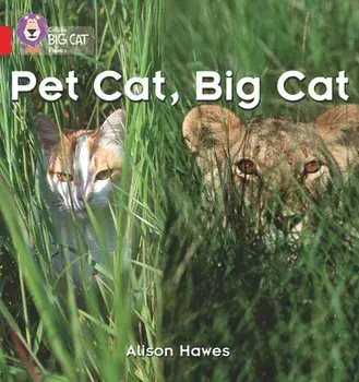 Pet Cat, Big Cat, Paperback/Alison Hawes
