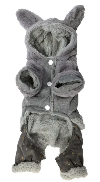 Pet Expert Haina Caine Grey S 25 cm BO-L1977