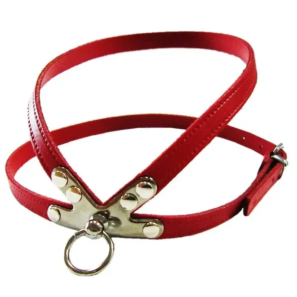 Pet Expert Ham Clasic Rosu - pet-expert,nr-2