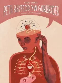 Peth Rhyfedd Yw Gorbryder, Paperback/Steve Haines
