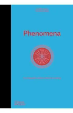 Phenomena - Camille|company Juzeau