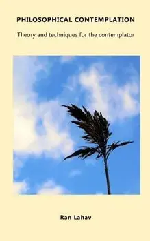 Philosophical Contemplation: Theory and Techniques for the Contemplator, Paperback/Ran Lahav