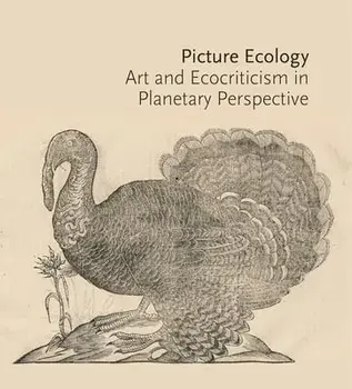 Picture Ecology: Art and Ecocriticism in Planetary Perspective, Paperback/Karl Kusserow