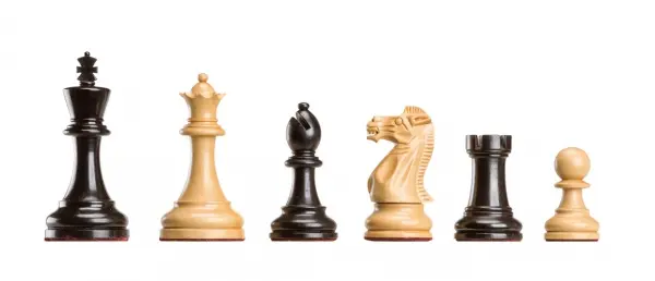 Piese de sah , Polgar Deluxe in cutie