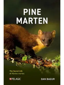 Pine Marten. The Secret Life of Martes martes, Paperback/Dan Bagur