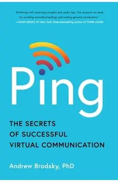 Ping: The Secrets of Successful Virtual Communication - Andrew Brodsky
