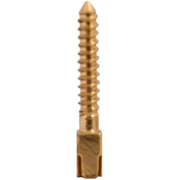 Pivoti Endodontici Prima, din Otel Inox Aurit, 10 Bucati, Marimea L4