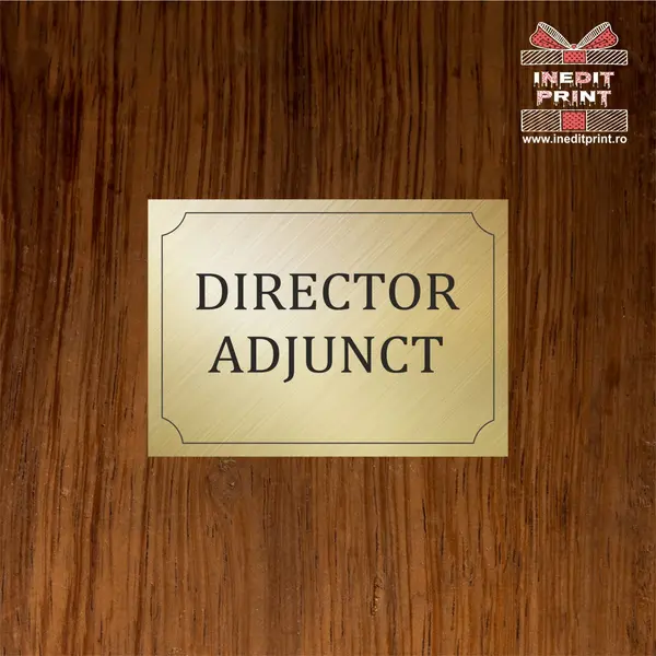 Placuta ABS pentru usa PABS1 30X10 cm