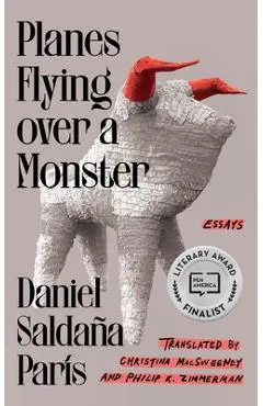 Planes Flying Over a Monster: Essays - Daniel Saldaña París