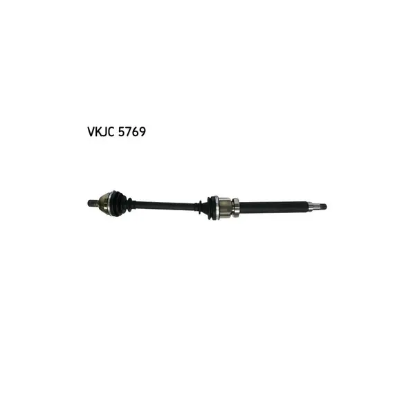 Planetara SKF VKJC 5769