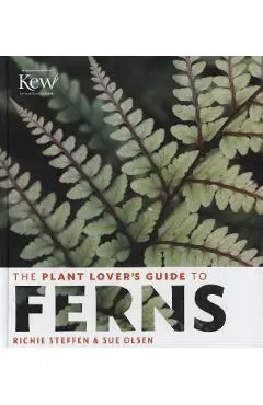 Plant Lovers Guide to Ferns