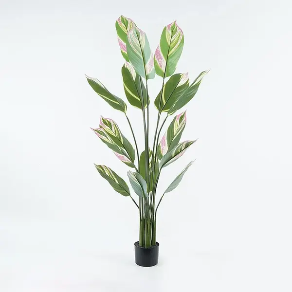 Planta decorativa Aglaonema Verde 80x80x150 cm