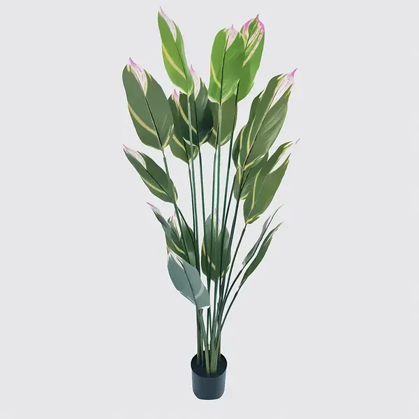 Planta decorativa cu ghiveci Lucky Verde 80x80x180 cm