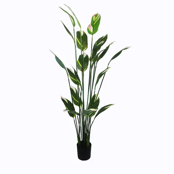 Planta decorativa cu ghiveci Lucky Verde 80x80x210 cm