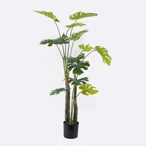 Plantă decorativă în ghiveci Deliciosa I, Sintetic, Verde, 90x160 cm