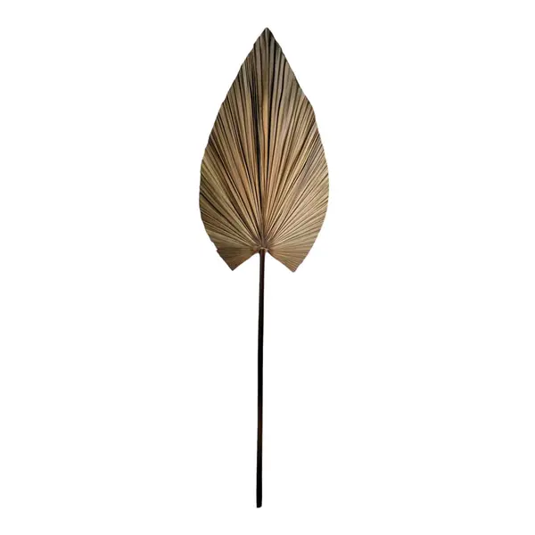 Planta decorativa Leafen Boho, Natural, 50x75x150 cm