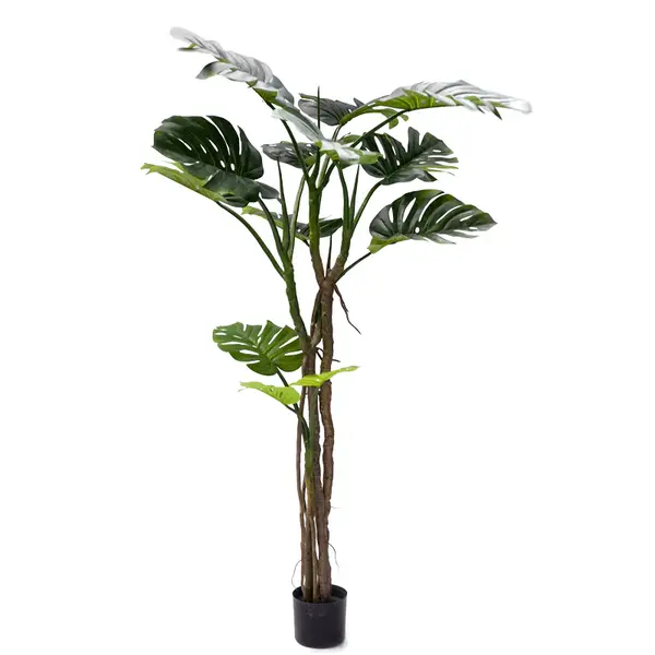 Planta decorativa Monstera III, Negru, inaltime 180 cm