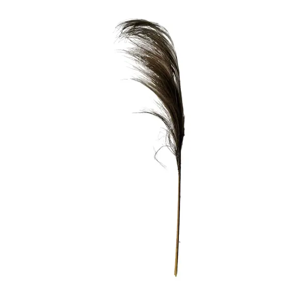 Planta decorativa Pampasion Boho, Natural, 80x150 cm