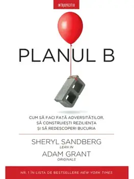 Planul B. Cum sa faci fata adversitatilor, sa construiesti rezilienta si sa redescoperi bucuria/Sheryl Sandberg, Adam Grant