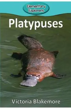Platypuses - Victoria Blakemore
