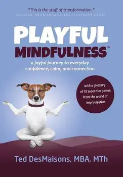 Playful Mindfulness: A Joyful Journey to Everyday Confidence, Calm, and Connection, Hardcover/Ted Desmaisons