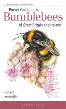 Pocket Guide to the Bumblebees of Great Britain and Ireland, Paperback/Richard Lewington