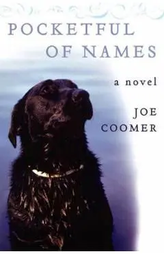 Pocketful of Names - Joe Coomer