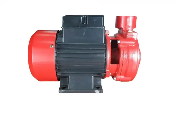 Pompa de suprafata Elefant 1.5DK-20 (1.5 1.5 ), 1100W, Debit 180L min., 2850RPM
