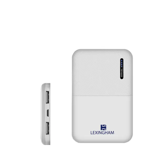 Portable power bank 5000 mah 2 port 2.1a