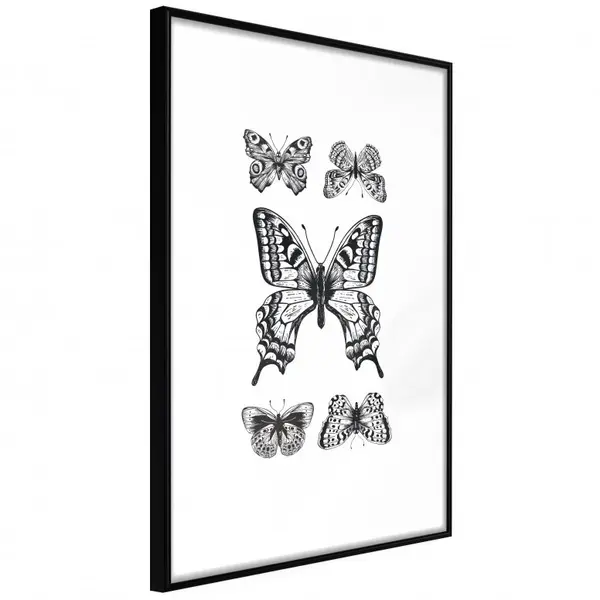 Poster - Butterfly Collection IV, cu Ramă neagră, 30x45 cm