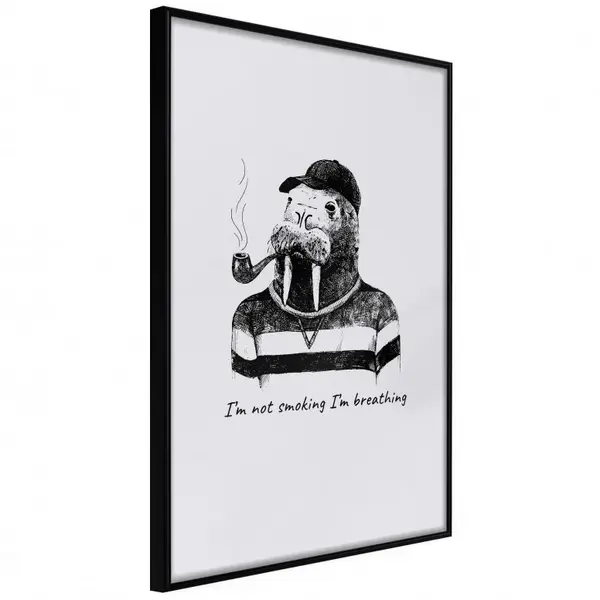 Poster - Captain Walrus, cu Ramă neagră, 20x30 cm