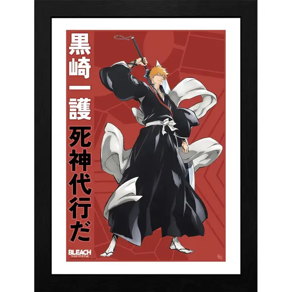 Poster cu Rama Bleach TYBW - Ichigo (30x40)