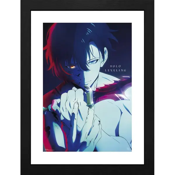 Poster cu Rama Solo Leveling - Jinwoo (30x40)