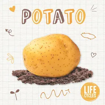 Potato, Paperback/Kirsty Holmes