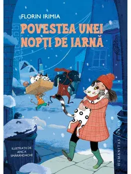 Povestea unei nopti de iarna/Florin Irimia