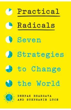 Practical Radicals: Seven Strategies to Change the World - Deepak Bhargava