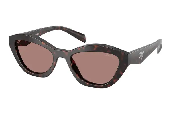 Prada PRA02S 17N60B