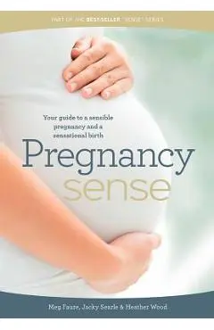 Pregnancy Sense: Your guide to a sensible pregnancy and a sensational birth - Megan Faure