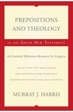 Prepositions and Theology in the Greek New Testament: An Essential Reference Resource for Exegesis - Murray J. Harris