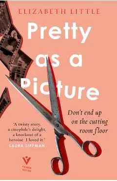 Pretty as a Picture - Elizabeth Little