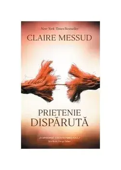 Prietenie disparuta/Claire Messud