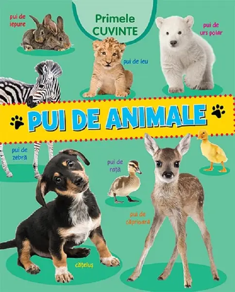 Primele cuvinte. Pui de animale