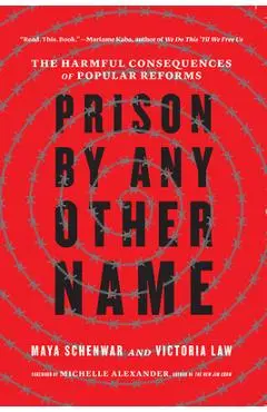 Prison by Any Other Name: The Harmful Consequences of Popular Reforms - Maya Schenwar
