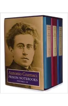 Prison Notebooks: Volumes 1, 2 & 3 - Antonio Gramsci