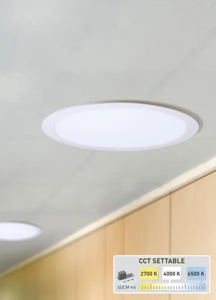 Proiector LED Downlight IP65 10W CCT, Fumagalli
