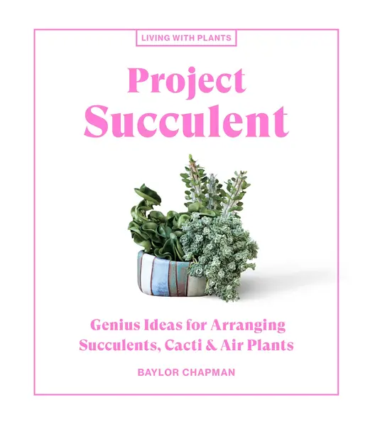 Project Succulent | Baylor Chapman