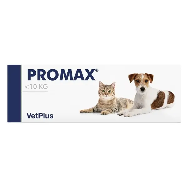 Promax, pasta