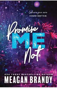 Promise Me Not - Meagan Brandy