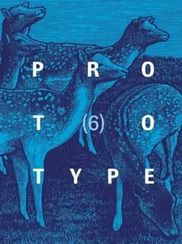 PROTOTYPE 6, Paperback/***